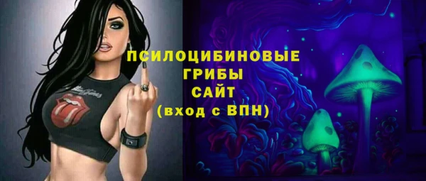 гидропоника Алзамай