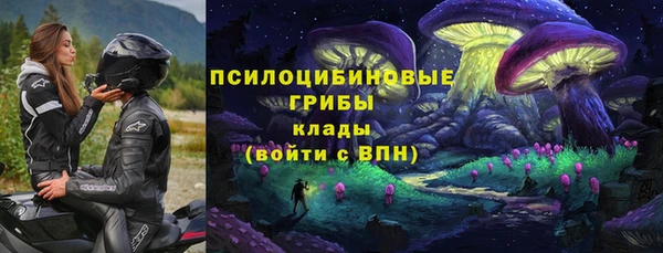 сатива Пестово