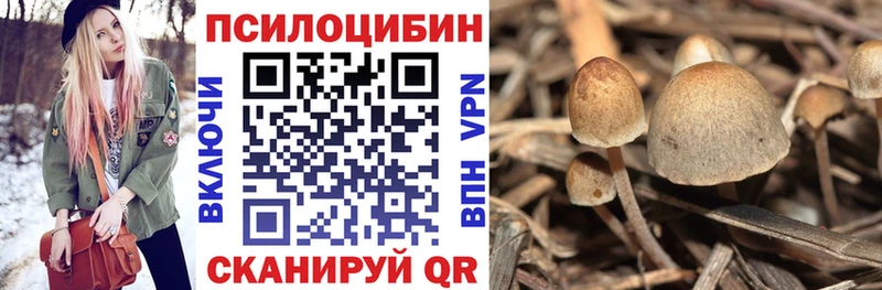 продажа наркотиков ссылка на мегу ССЫЛКА Галлюциногенные грибы MAGIC MUSHROOMS сайты даркнета какой сайт Харабали